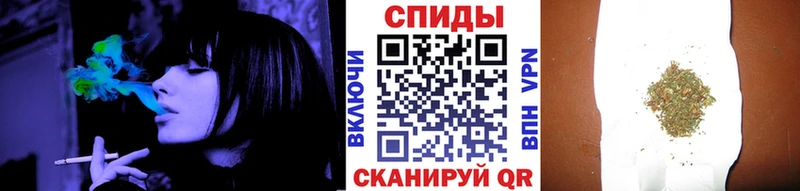 Купить  Тара  БУТИРАТ BDO 