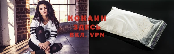 винт Бронницы