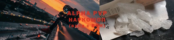 mdpv Бородино